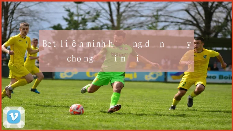 Bet liên minh hướng dẫn đầy đủ cho người mới